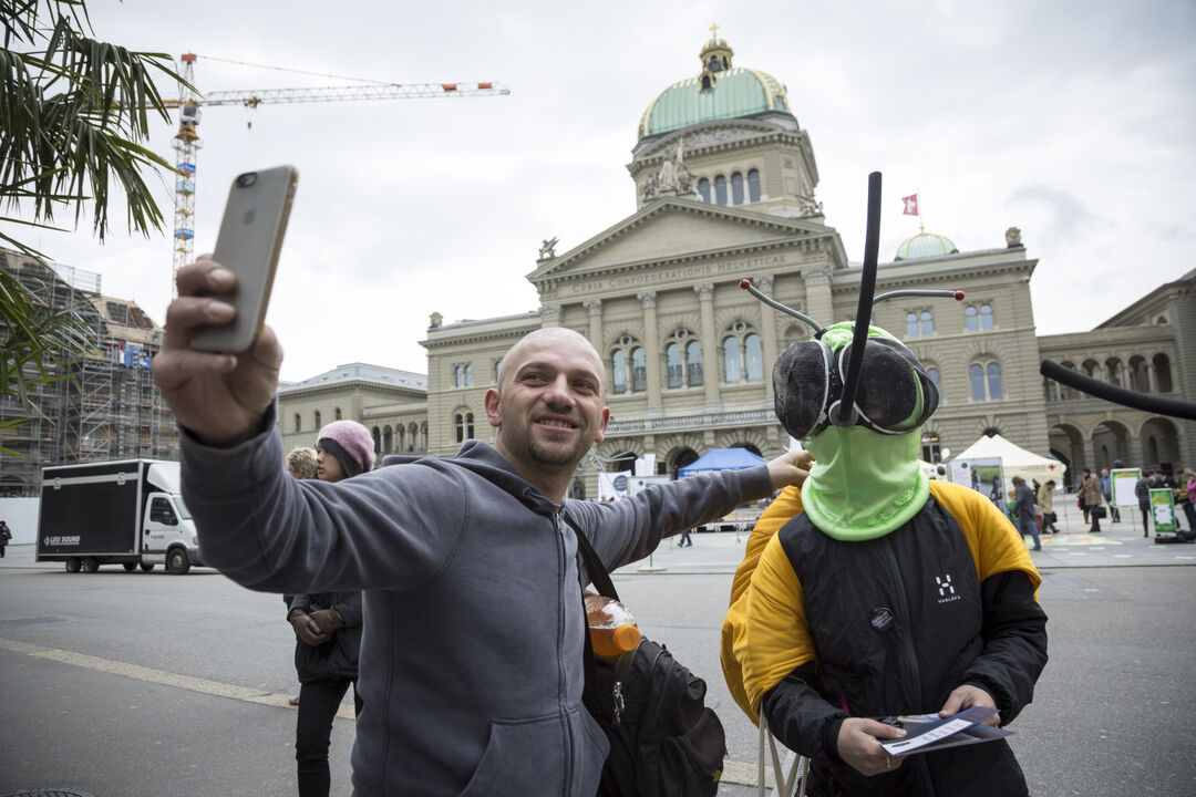 Mosquitos on the Federal Square: